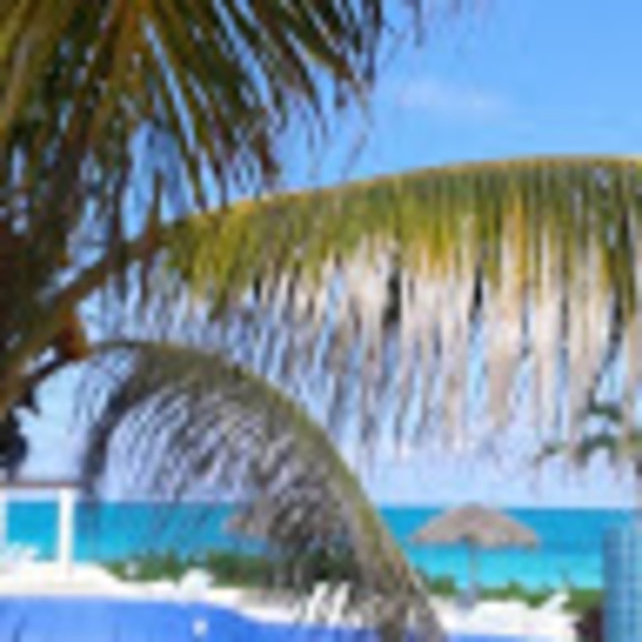 Meet your Posher, Sylvie - Picture 1 of 1